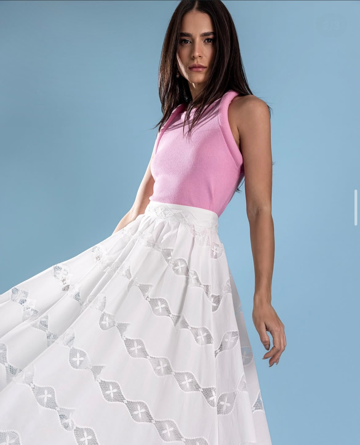 Embroidered Midi Skirt