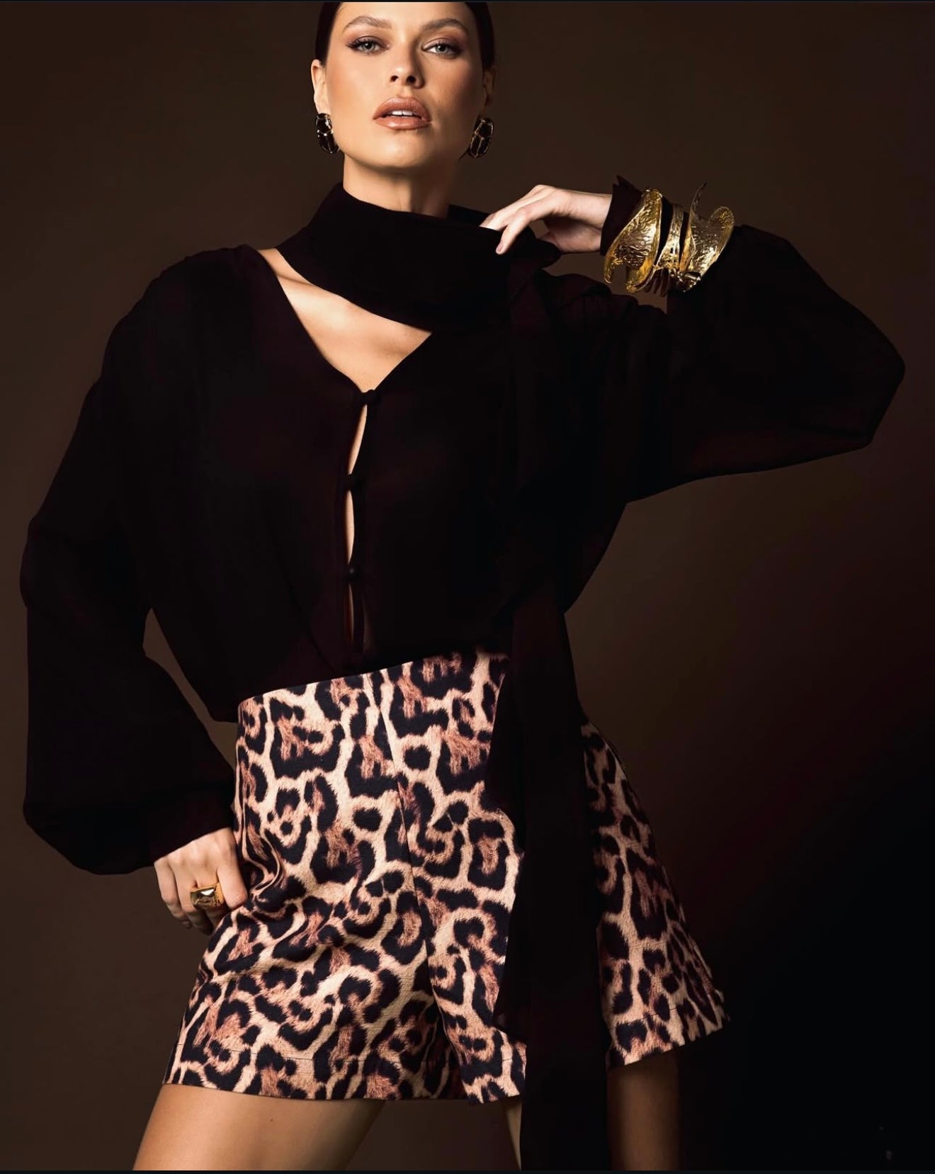 Chiffon Blouse