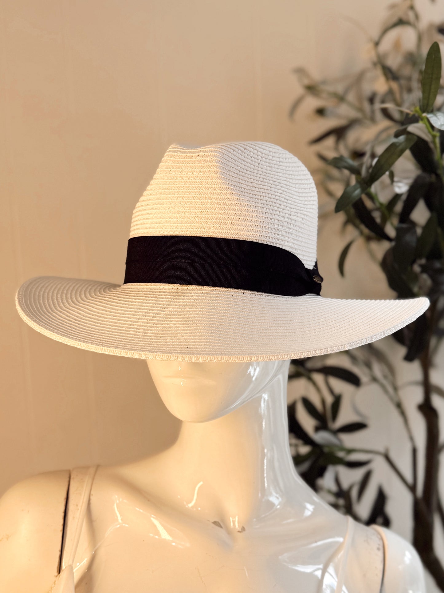 Panama Hat