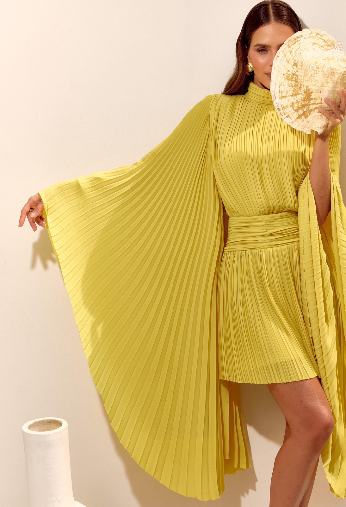 Pleated Dress with Asymmetrical Sleeves
