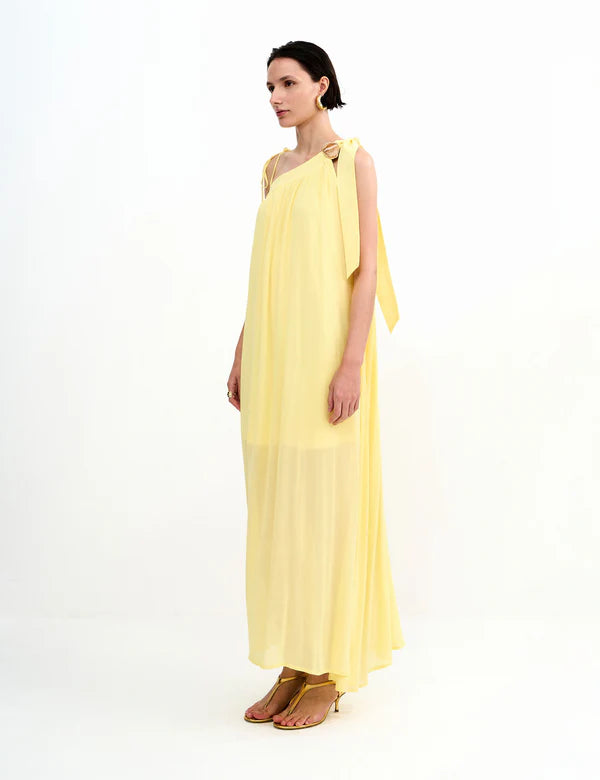 Kiara Long Dress